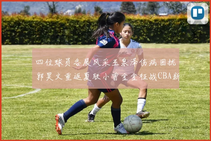 四位球员各展风采王泉泽伤病困扰郭昊文重返夏联小曾金金征战CBA新赛季